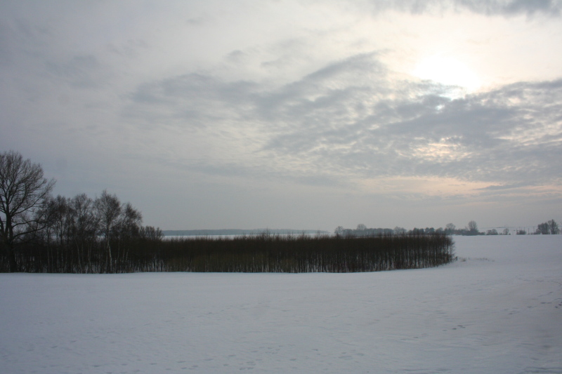 Killikus® Fotographie Killikus® Fotographie